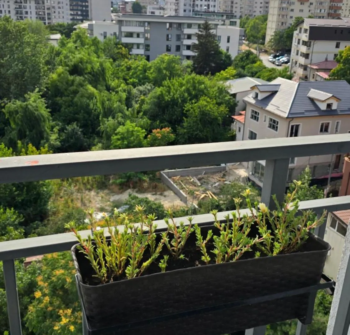 Cosy One Bedroom Apartment Bukarest